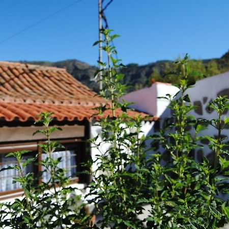 Ilusiones Villa Tejeda  Eksteriør billede