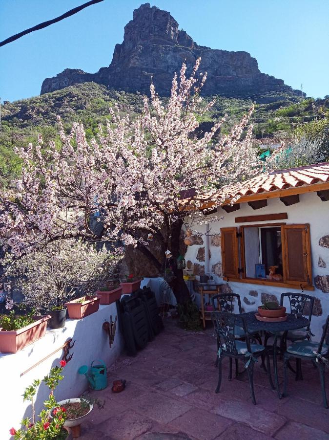 Ilusiones Villa Tejeda  Eksteriør billede