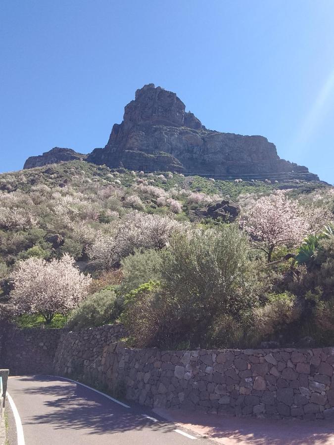 Ilusiones Villa Tejeda  Eksteriør billede