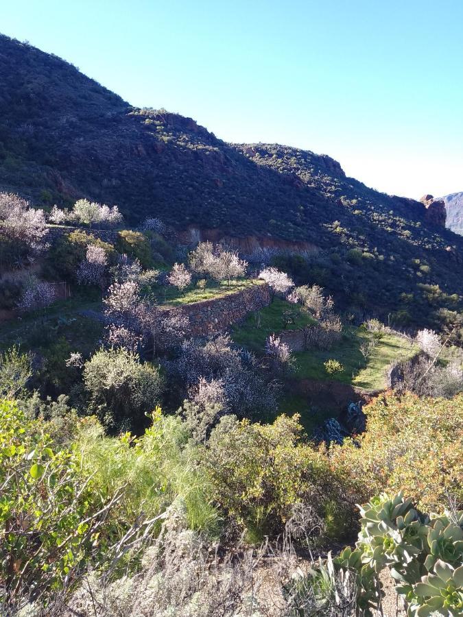 Ilusiones Villa Tejeda  Eksteriør billede