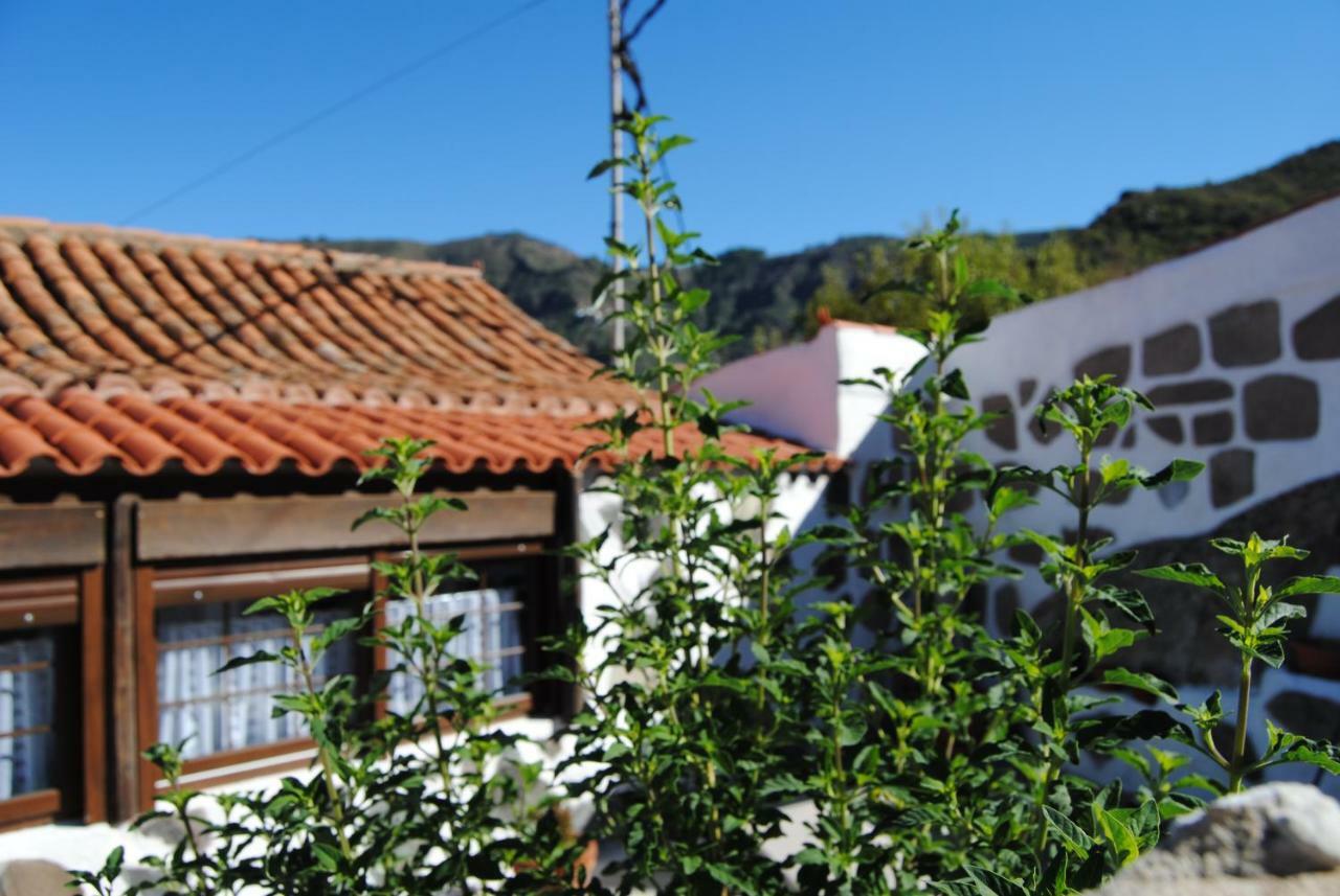 Ilusiones Villa Tejeda  Eksteriør billede